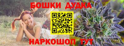 крисы Берёзовский