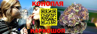 гашик Бийск