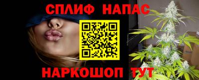 гашик Бийск