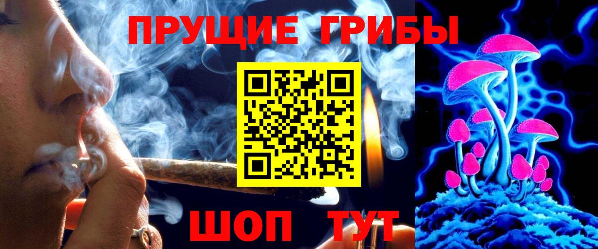 Заволжье  Псилоцибиновые грибы Psilocybine cubensis  Вход с VPN 